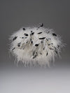 Snap clutch in Dalmatian